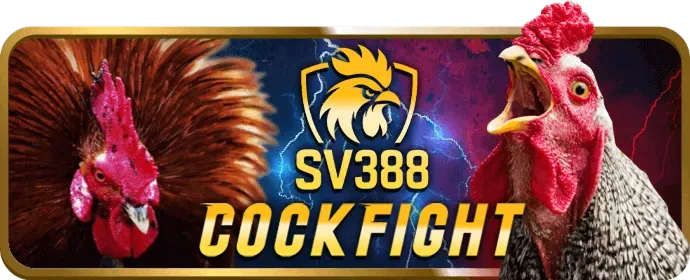 Các sự kiện cá cược thể thao độc quyền tại 88cld Win